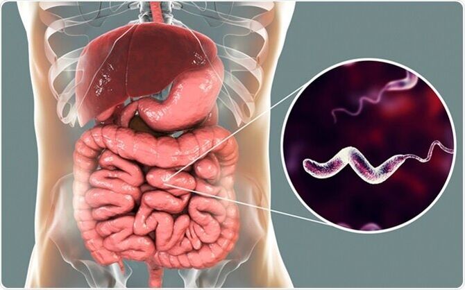 Parasites release toxins into the body, and the drug Vermixin will help you get rid of them! 